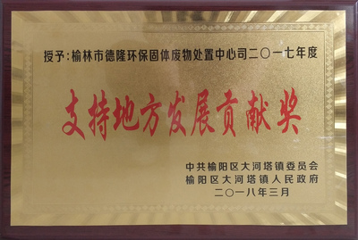 德隆公司獲得大河塔鎮支持地方發展貢獻獎.jpg