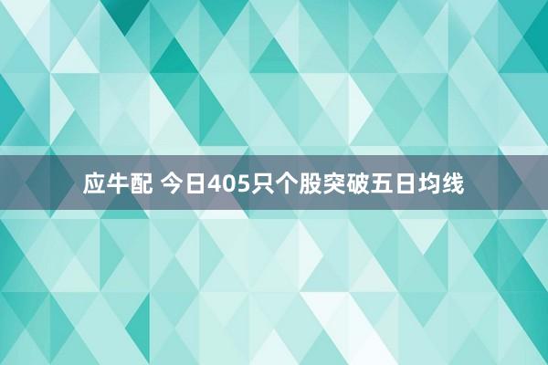 应牛配 今日405只个股突破五日均线