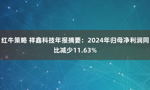 红牛策略 祥鑫科技年报摘要：2024年归母净利润同比减少11.63%