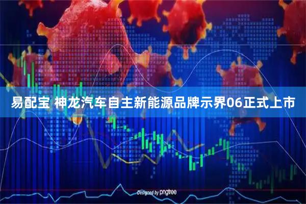 易配宝 神龙汽车自主新能源品牌示界06正式上市